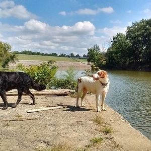 Meet your Posher, Diane